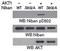 Niban Apoptosis Regulator 1 antibody, orb76555, Biorbyt, Western Blot image 