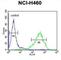 RAB3A Interacting Protein Like 1 antibody, abx026049, Abbexa, Western Blot image 