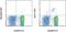 Bone Marrow Stromal Cell Antigen 2 antibody, 17-3171-80, Invitrogen Antibodies, Flow Cytometry image 