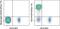 CD2 Molecule antibody, 46-0029-41, Invitrogen Antibodies, Flow Cytometry image 