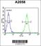 Glutamine-Fructose-6-Phosphate Transaminase 2 antibody, 63-873, ProSci, Flow Cytometry image 