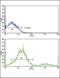 MCL1 Apoptosis Regulator, BCL2 Family Member antibody, PA5-11389, Invitrogen Antibodies, Flow Cytometry image 