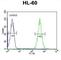 Apolipoprotein B MRNA Editing Enzyme Catalytic Subunit 2 antibody, abx032590, Abbexa, Western Blot image 