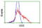 Glutathione Synthetase antibody, TA502094, Origene, Flow Cytometry image 