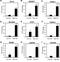 MLX Interacting Protein Like antibody, NB400-135, Novus Biologicals, Immunoprecipitation image 