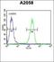 SMAD Family Member 4 antibody, orb214216, Biorbyt, Flow Cytometry image 