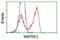 Microtubule-associated protein RP/EB family member 2 antibody, LS-C172983, Lifespan Biosciences, Flow Cytometry image 