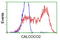 Calcium Binding And Coiled-Coil Domain 2 antibody, TA501971, Origene, Flow Cytometry image 