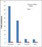 Histone Cluster 4 H4 antibody, 710828, Invitrogen Antibodies, Chromatin Immunoprecipitation image 