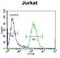 Recombination Signal Binding Protein For Immunoglobulin Kappa J Region Like antibody, abx026575, Abbexa, Flow Cytometry image 