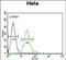 TRNA Methyltransferase 11 Homolog antibody, PA5-72452, Invitrogen Antibodies, Flow Cytometry image 