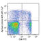 Perforin 1 antibody, 308127, BioLegend, Flow Cytometry image 