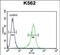 Adenosylhomocysteinase antibody, PA5-71489, Invitrogen Antibodies, Flow Cytometry image 