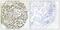 Tripartite Motif Containing 16 antibody, PA5-38558, Invitrogen Antibodies, Immunohistochemistry frozen image 