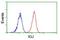 Joining Chain Of Multimeric IgA And IgM antibody, NBP2-01688, Novus Biologicals, Flow Cytometry image 