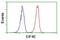 Makorin Ring Finger Protein 1 antibody, NBP2-45816, Novus Biologicals, Flow Cytometry image 