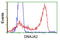 DnaJ homolog subfamily A member 2 antibody, TA501688, Origene, Flow Cytometry image 