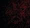 C1q And TNF Related 6 antibody, NBP1-03121, Novus Biologicals, Immunofluorescence image 