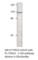 TYRO3 Protein Tyrosine Kinase antibody, TYRO3-101AP, FabGennix, Western Blot image 