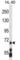 Lysine Methyltransferase 2E antibody, abx025085, Abbexa, Western Blot image 