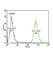 Glial Cell Derived Neurotrophic Factor antibody, abx034059, Abbexa, Western Blot image 