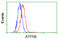 ATP Synthase F1 Subunit Beta antibody, LS-C114909, Lifespan Biosciences, Flow Cytometry image 