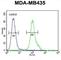 MYC Target 1 antibody, abx025758, Abbexa, Western Blot image 
