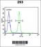 Ribosome Biogenesis Regulator 1 Homolog antibody, 61-646, ProSci, Flow Cytometry image 