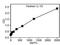 Interleukin 13 antibody, KHC0132, Invitrogen Antibodies, Enzyme Linked Immunosorbent Assay image 