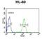 Plasmalemma Vesicle Associated Protein antibody, abx034345, Abbexa, Flow Cytometry image 