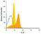 Interleukin 26 antibody, MAB13751, R&D Systems, Flow Cytometry image 