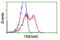 Transmembrane Protein 80 antibody, TA501399, Origene, Flow Cytometry image 