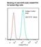 CD70 Molecule antibody, LS-C134544, Lifespan Biosciences, Flow Cytometry image 