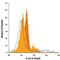 IL-12 antibody, IC2191F, R&D Systems, Flow Cytometry image 