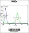ADAM Metallopeptidase Domain 19 antibody, 64-129, ProSci, Flow Cytometry image 