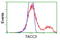 Transforming Acidic Coiled-Coil Containing Protein 3 antibody, LS-C172312, Lifespan Biosciences, Flow Cytometry image 