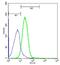 Macrophage Receptor With Collagenous Structure antibody, orb6345, Biorbyt, Flow Cytometry image 