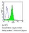 Erb-B2 Receptor Tyrosine Kinase 4 antibody, GTX80811, GeneTex, Flow Cytometry image 