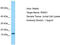 Regulatory Subunit Of Type II PKA R-Subunit (RIIa) Domain Containing 1 antibody, TA332180, Origene, Western Blot image 