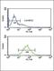 Steroid 5 Alpha-Reductase 3 antibody, PA5-25200, Invitrogen Antibodies, Flow Cytometry image 