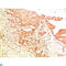 p53 antibody, LS-C813658, Lifespan Biosciences, Immunohistochemistry paraffin image 