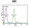 Tryptase Alpha/Beta 1 antibody, abx025064, Abbexa, Flow Cytometry image 