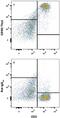 Thy-1 Cell Surface Antigen antibody, MAB7335, R&D Systems, Flow Cytometry image 
