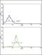 Actin Related Protein 2/3 Complex Subunit 1A antibody, PA5-35314, Invitrogen Antibodies, Flow Cytometry image 