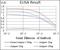 Decorin antibody, NBP2-37333, Novus Biologicals, Enzyme Linked Immunosorbent Assay image 