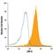 LDL Receptor Related Protein 6 antibody, FAB1505A, R&D Systems, Flow Cytometry image 