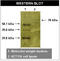 Receptor Like Tyrosine Kinase antibody, MBS395147, MyBioSource, Western Blot image 