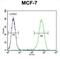 Nudix Hydrolase 8 antibody, abx025783, Abbexa, Flow Cytometry image 