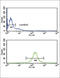 Prostaglandin E Receptor 3 antibody, abx034238, Abbexa, Western Blot image 