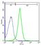 TNF Receptor Superfamily Member 13B antibody, orb5820, Biorbyt, Flow Cytometry image 